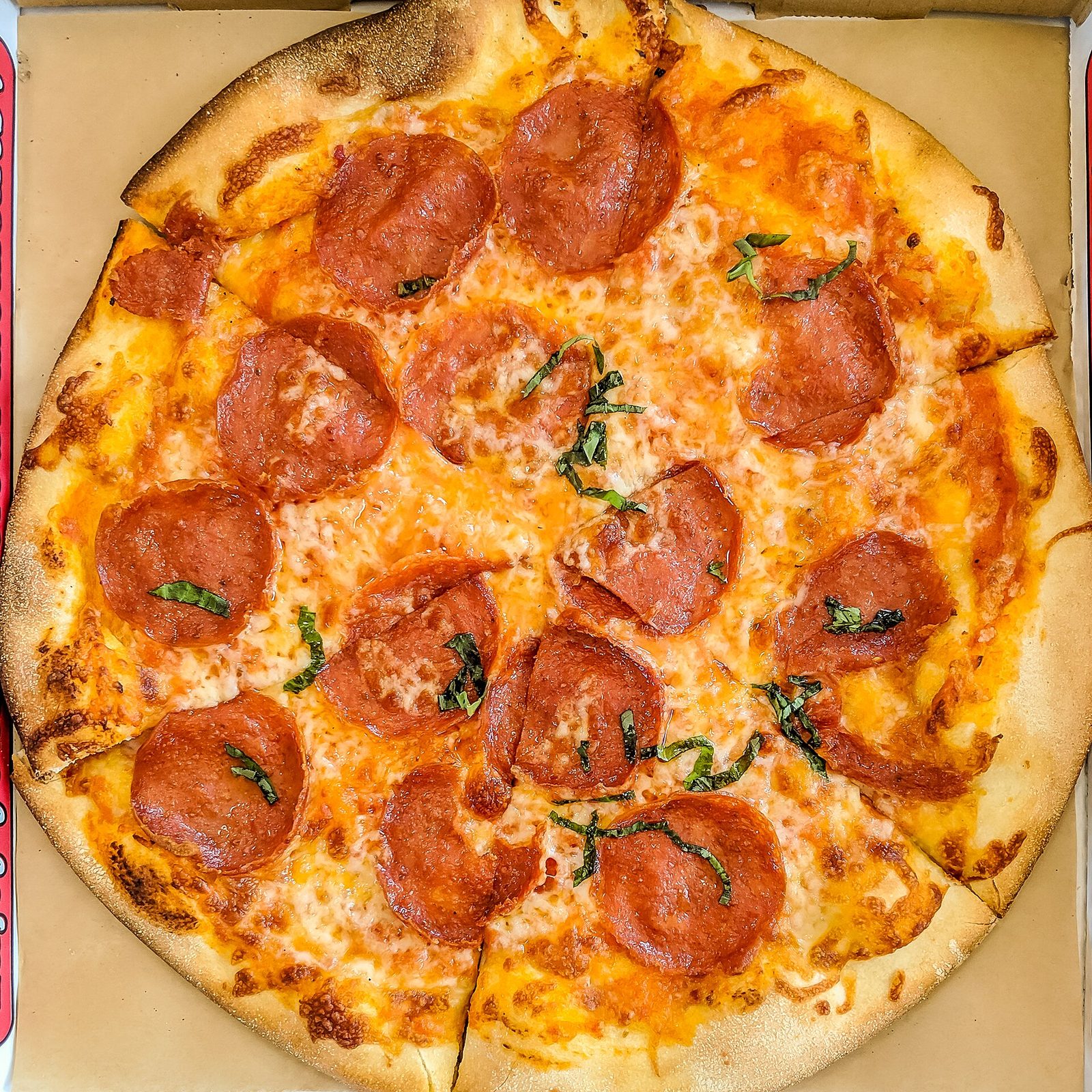 Pizza iz krušne peći — Didovo zlato